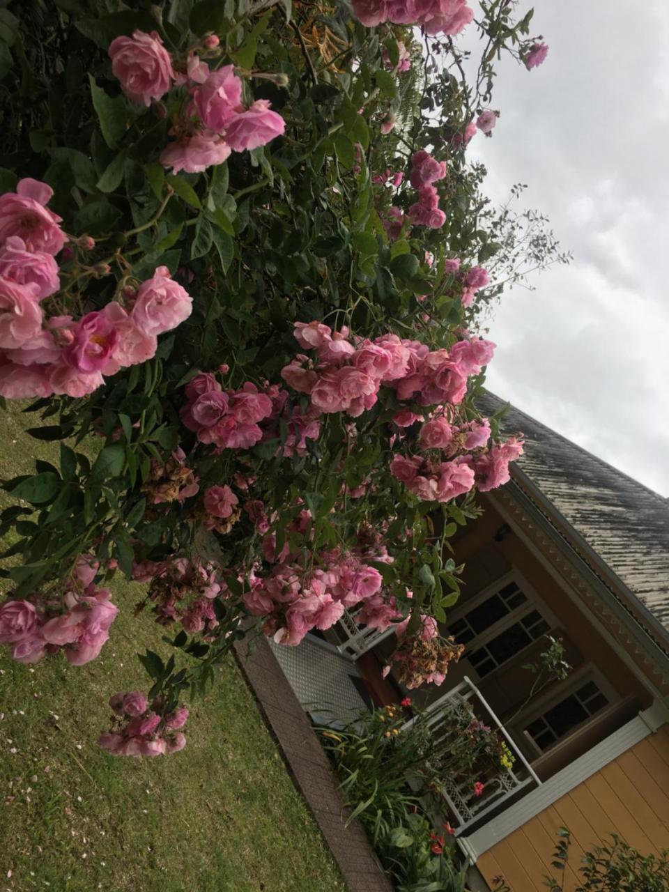 Relais Des Gouverneurs Acomodação com café da manhã Salazie Exterior foto